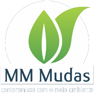 MM Mudas